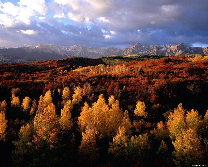 Autumn Forest with Mountains — Orange, Dramatic