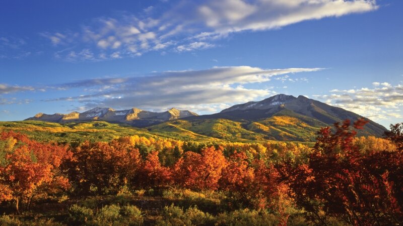 Autumn Forest with Mountains — Orange, Serene, Photograph