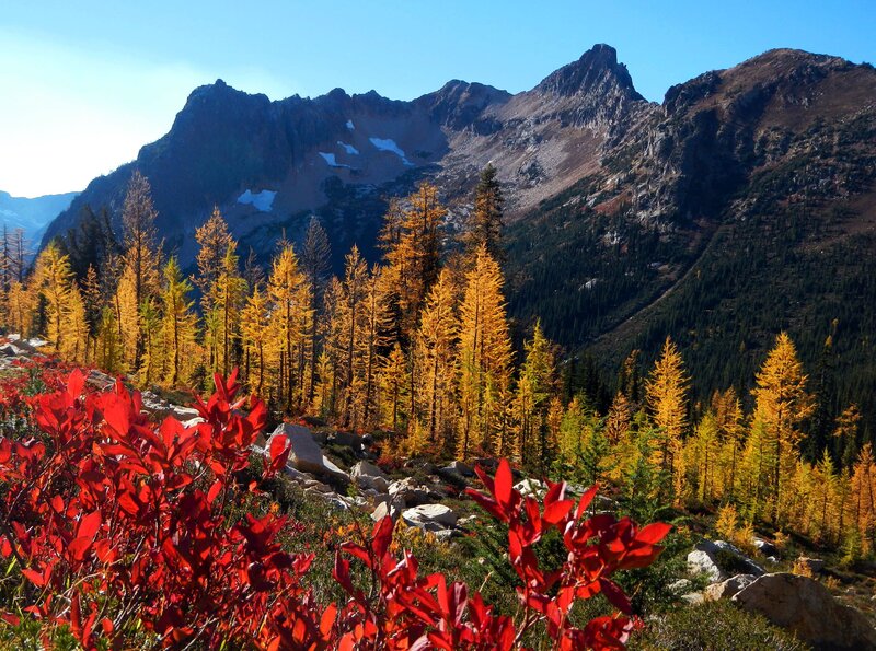 Autumn Forest with Mountains — Red, Serene