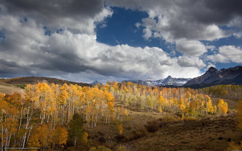 Autumn forest with mountains