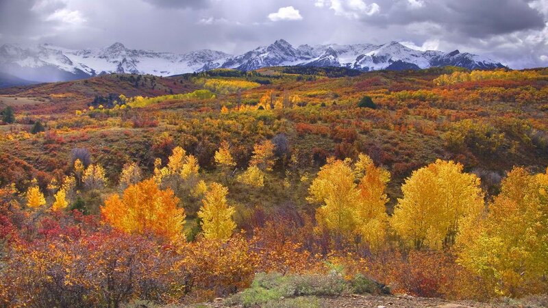 Autumn Forest with Mountains — Yellow, Dramatic, Photograph, Snow-capped Peaks, Colorful Trees