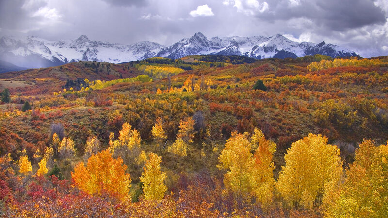 Autumn Forest with Mountains — Yellow, Dramatic, Photograph