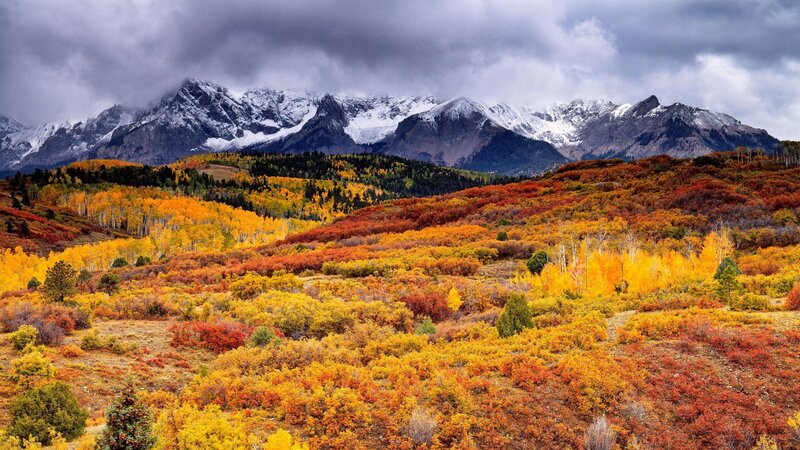 Autumn Forest with Mountains — Yellow, Dramatic, Photograph, Trees, Clouds
