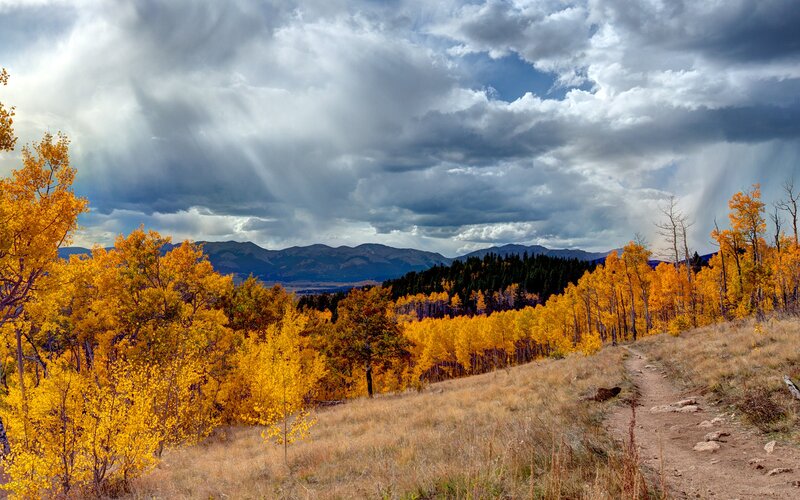 Autumn Forest with Mountains — Yellow, Dramatic, Photograph, Trees, Path