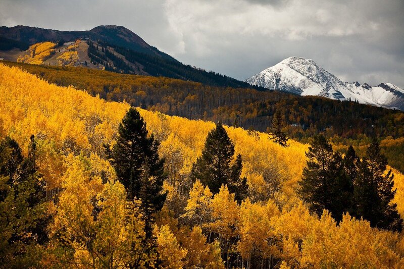 Autumn Forest with Mountains — Yellow, Dramatic, Photograph, Trees, Snow