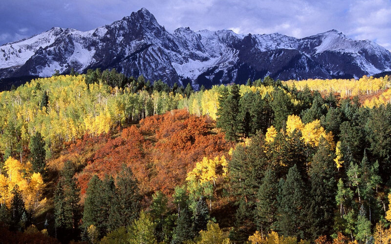 Autumn Forest with Mountains — Yellow, Dramatic, Photograph, Trees