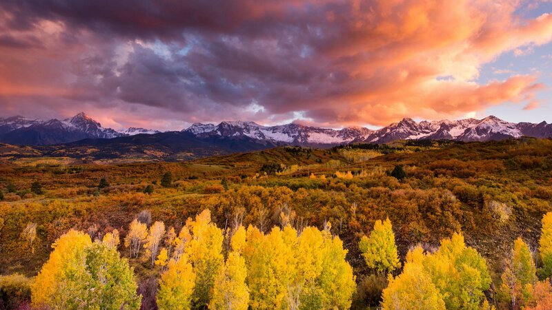 Autumn Forest with Mountains — Yellow, Dramatic, Sunset, Photograph
