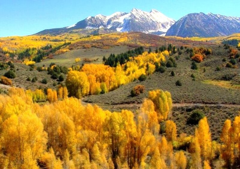 Autumn Forest with Mountains — Yellow, Serene, Photograph