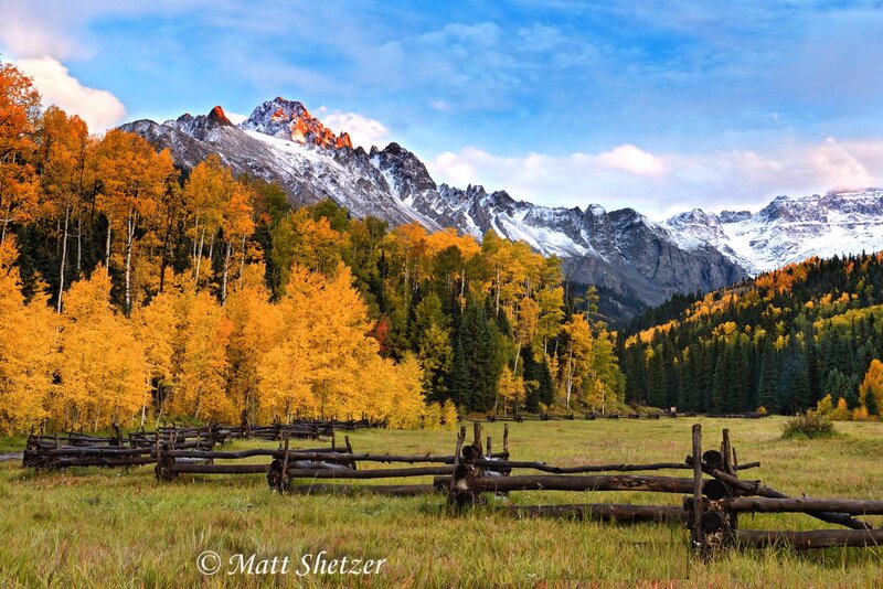 Autumn Forest with Mountains — Yellow, Serene, Photograph, Trees, Fence