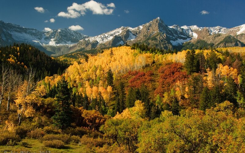 Autumn Forest with Mountains — Yellow, Serene, Photograph, Trees, Snow, Sky