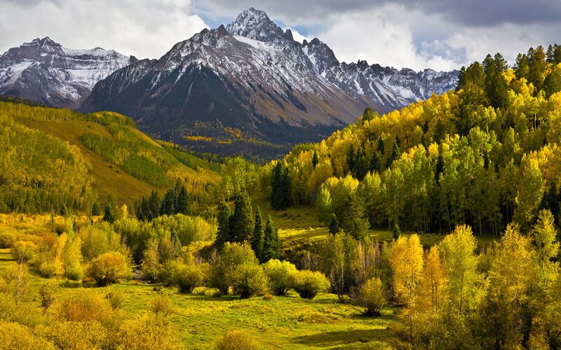Autumn Forest with Mountains — Yellow, Serene, Photograph, Trees, Snow