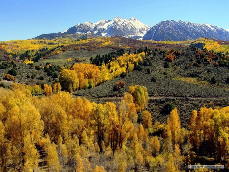 Autumn Forest with Mountains — Yellow
