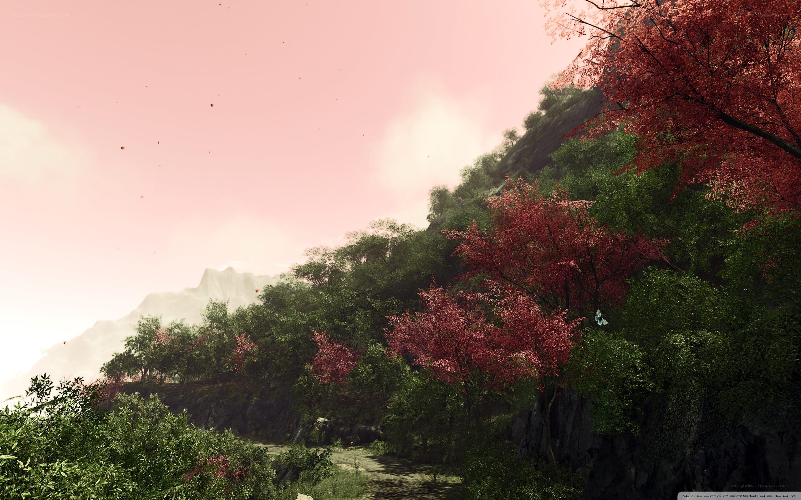 Autumn forest with pink sky