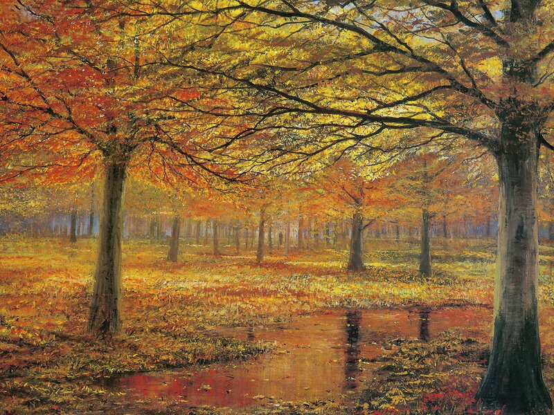 Autumn forest with pond