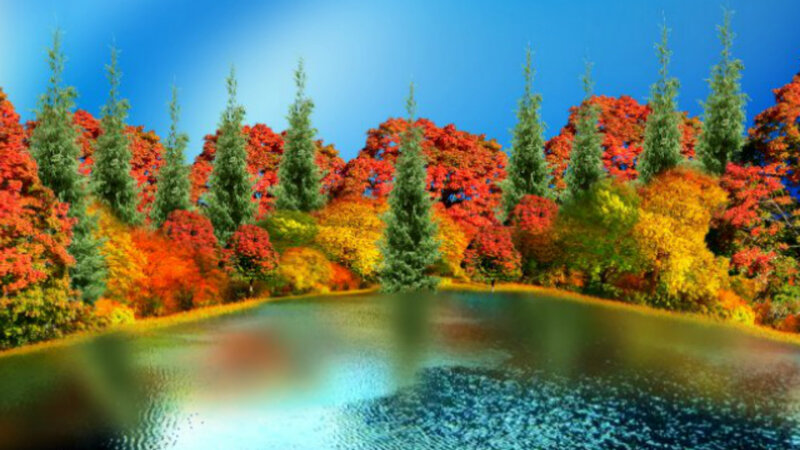 Autumn Forest with Pond — Blue