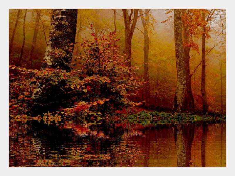Autumn Forest with Pond — Orange, Serene, Photograph, Trees, Leaves
