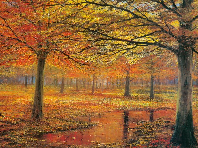 Autumn forest with pond