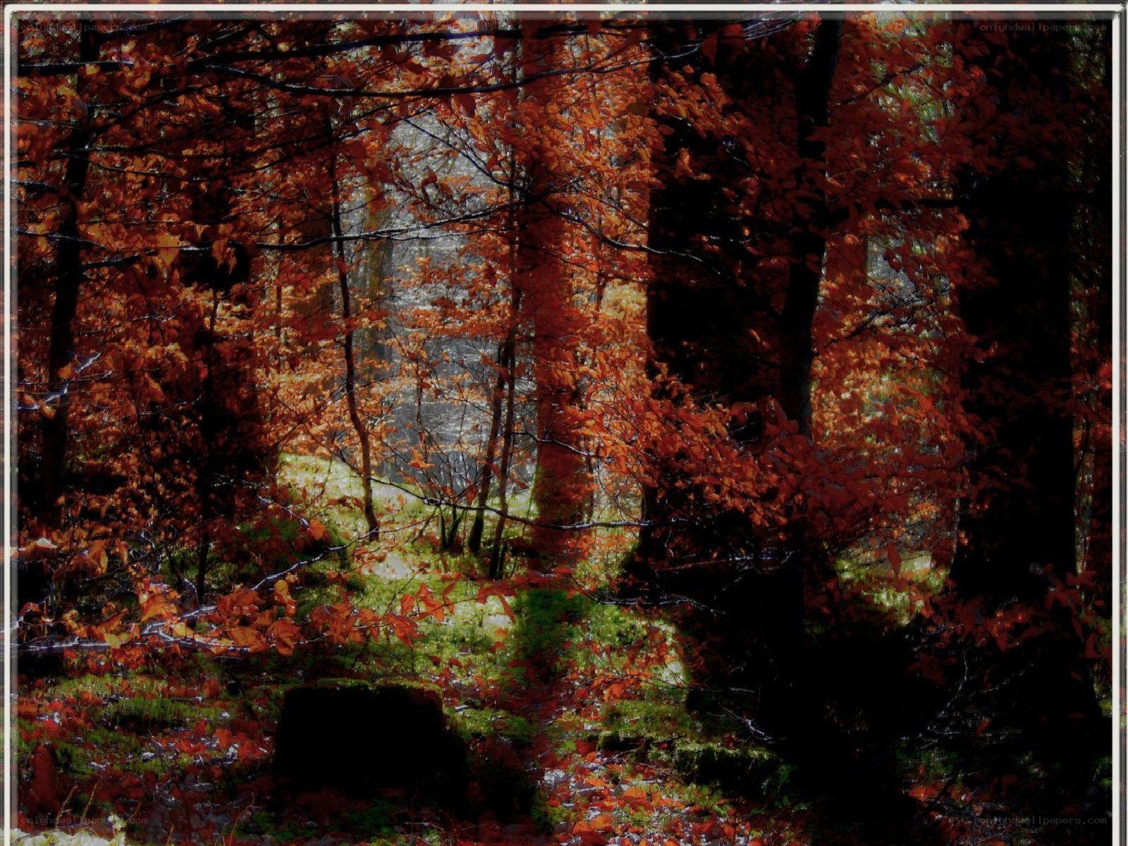 Autumn forest with red leaves