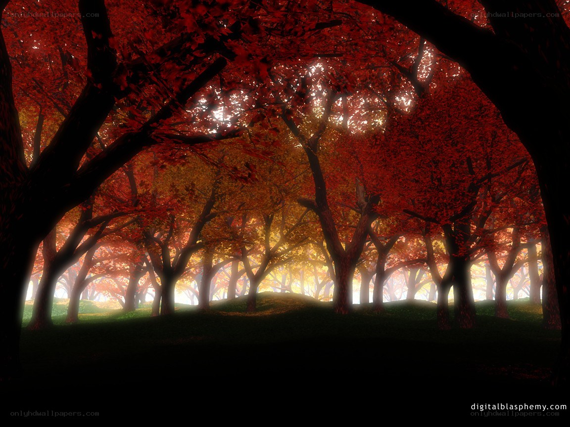 Autumn forest with red leaves