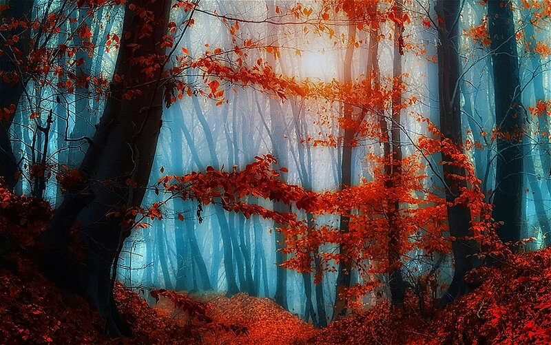 Autumn Forest with Red Leaves — Serene, Digital Art