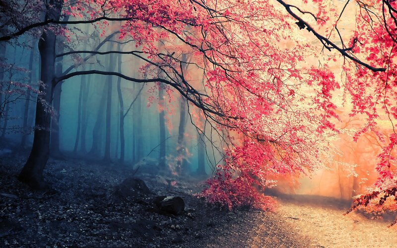 Autumn Forest with Red Leaves — Serene, Digital Art, Trees