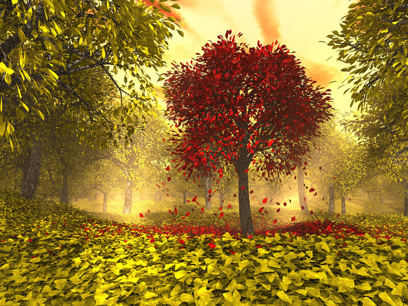 Autumn forest with red tree
