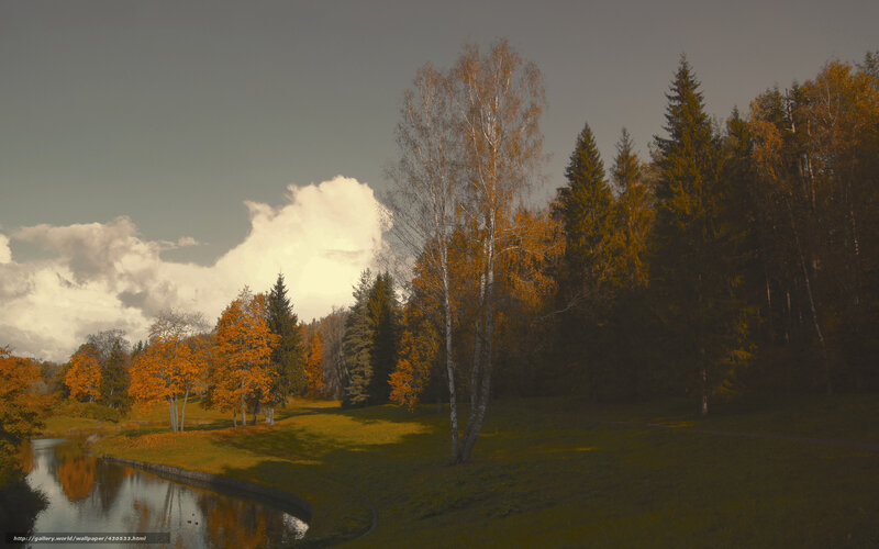 Autumn Forest with River — Green
