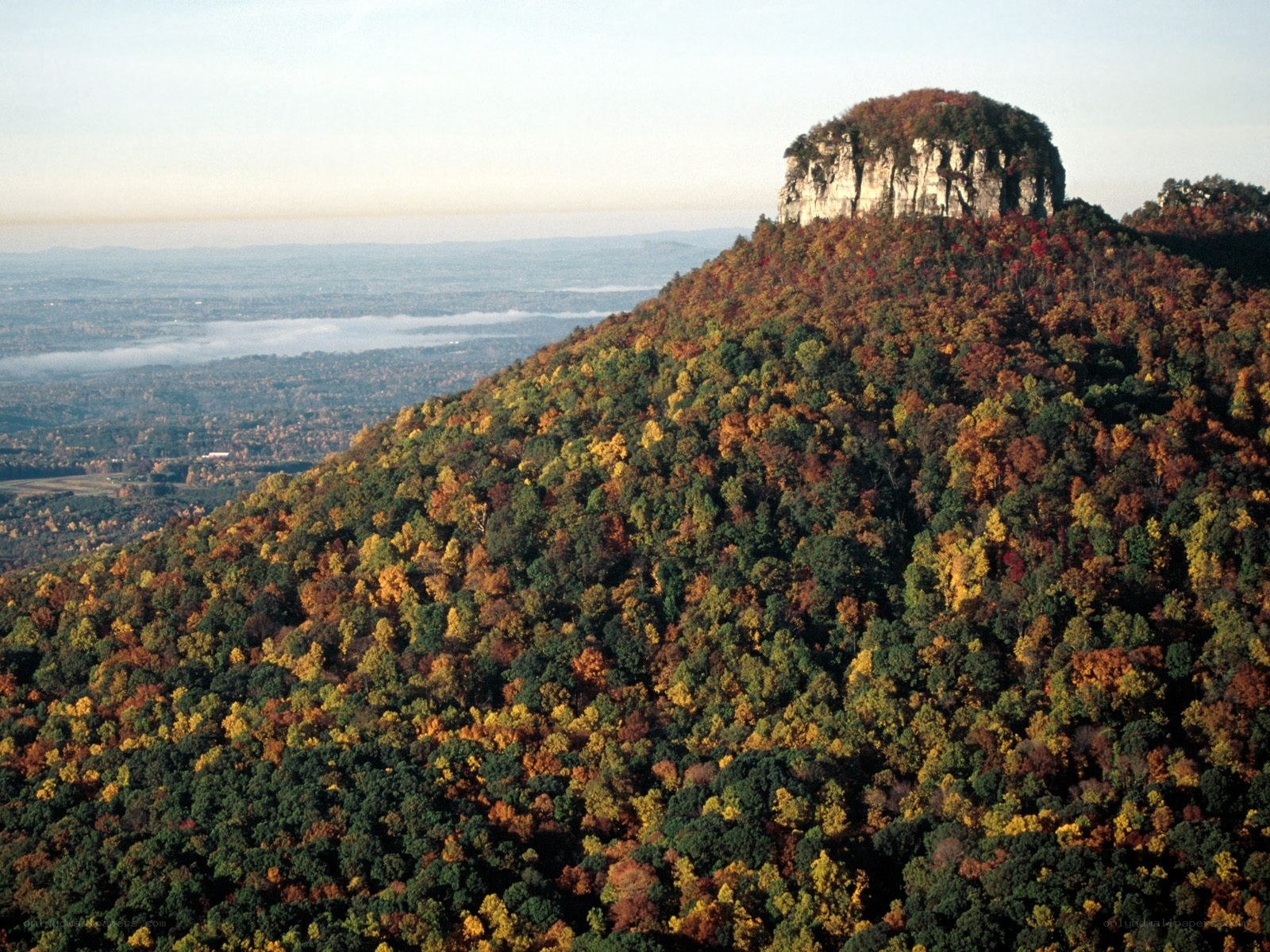Autumn forest with rock formation