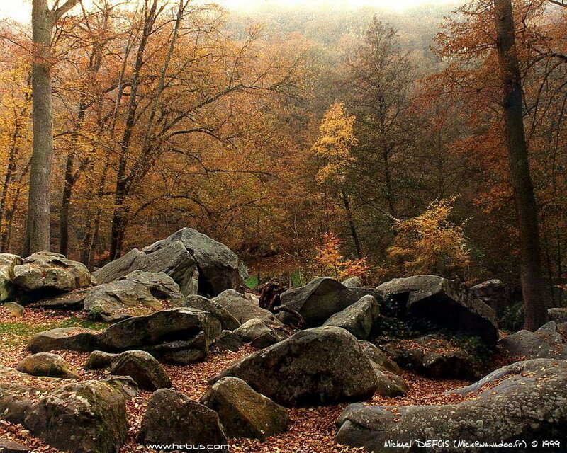 Autumn forest with rocks