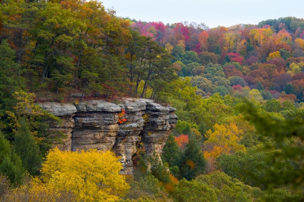 Autumn forest with rocky cliff