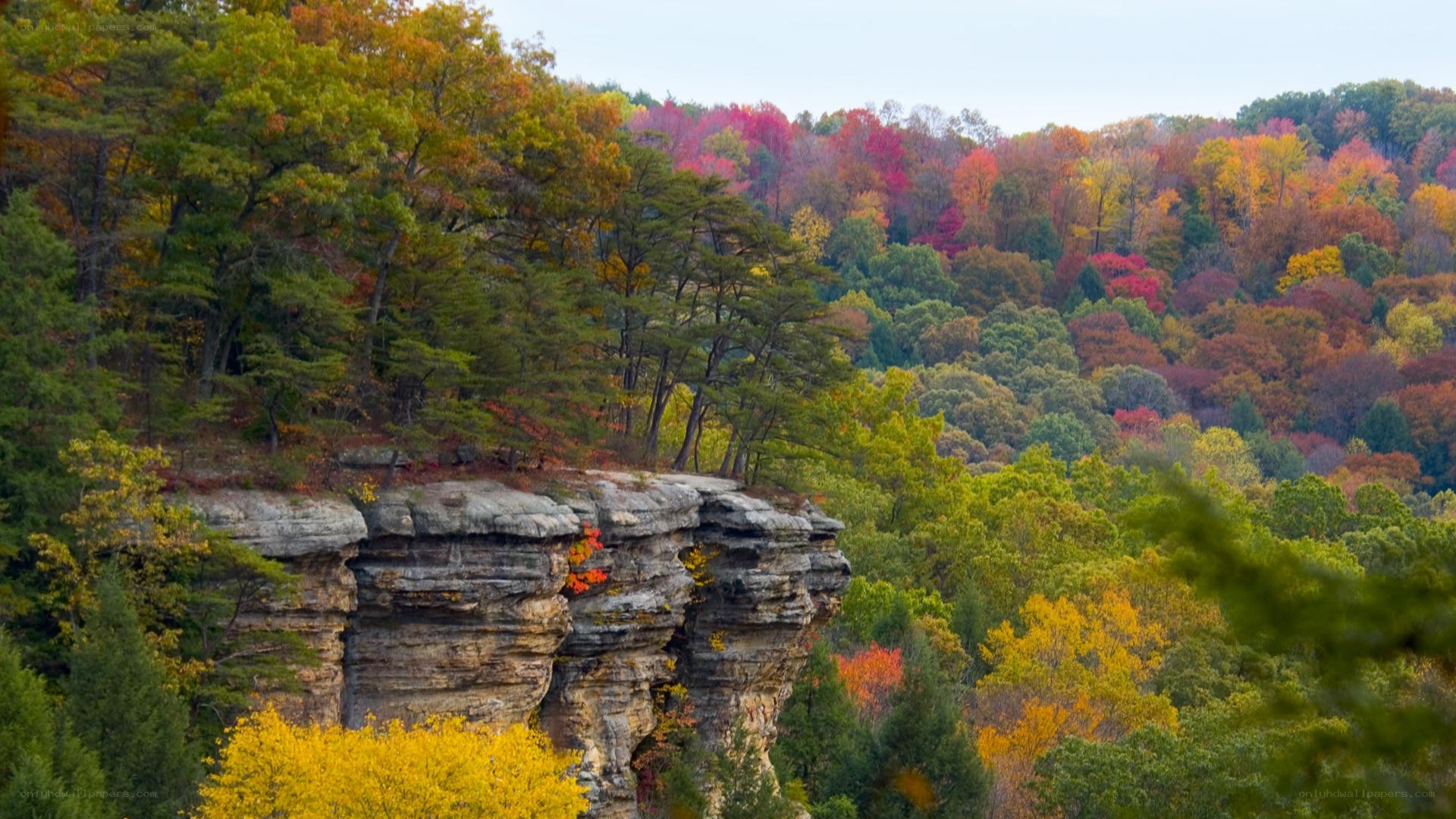 autumn forest with rocky cliffs