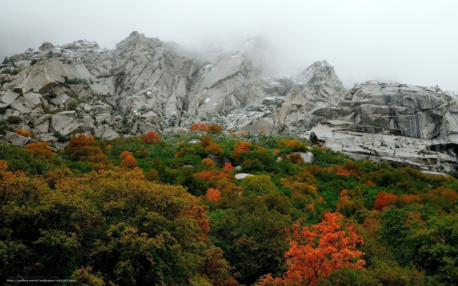 Autumn forest with rocky mountain