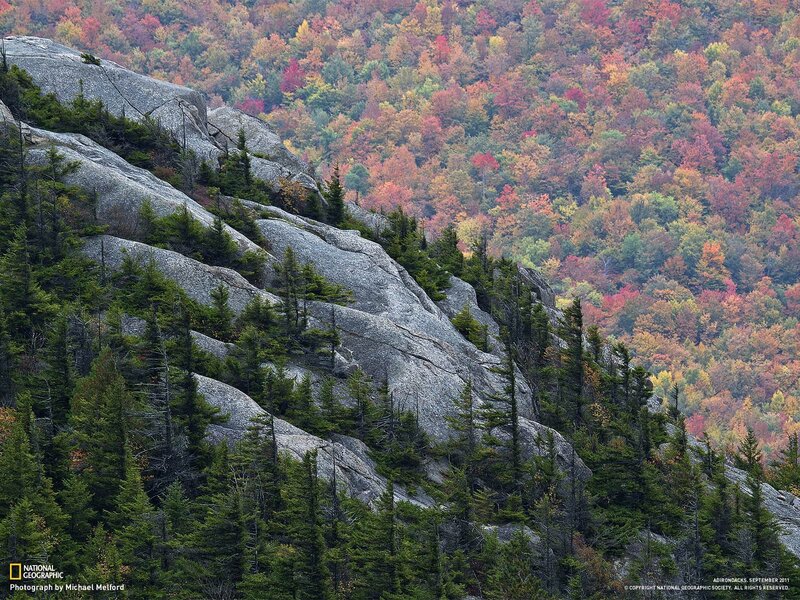 Autumn forest with rocky slope