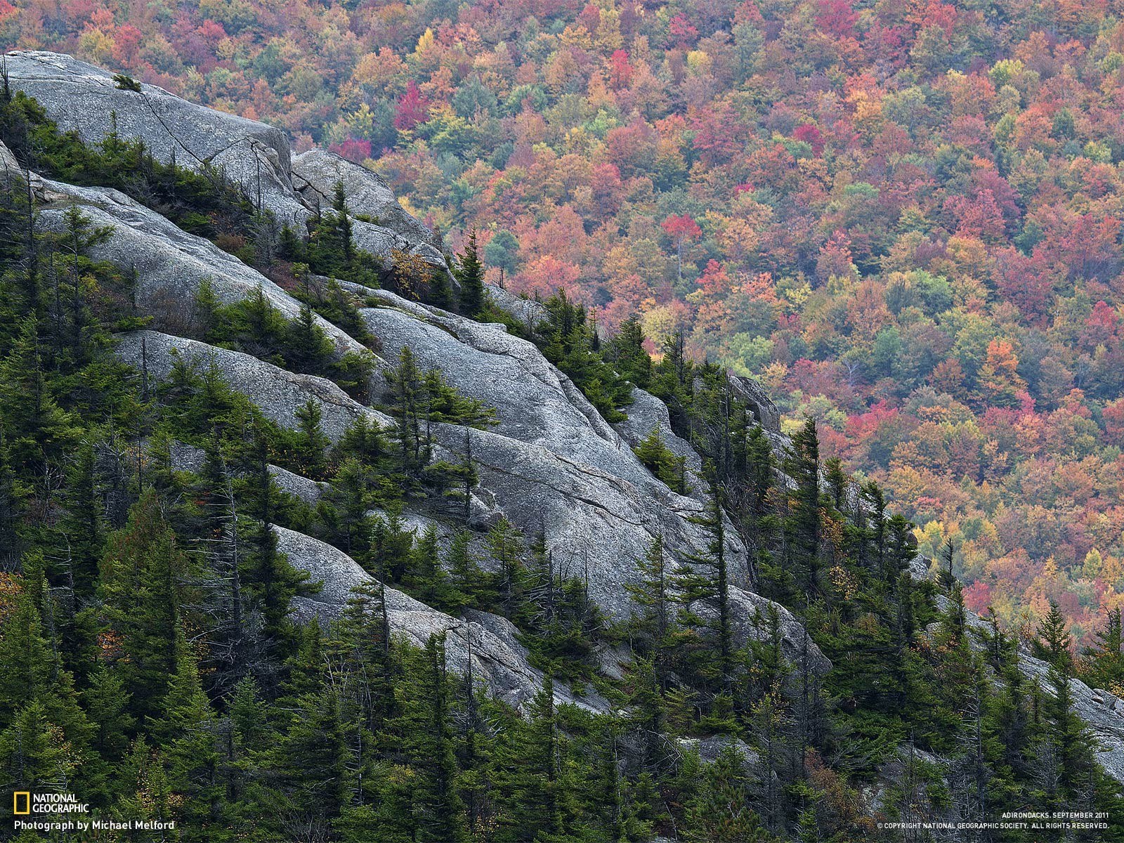 Autumn forest with rocky slope