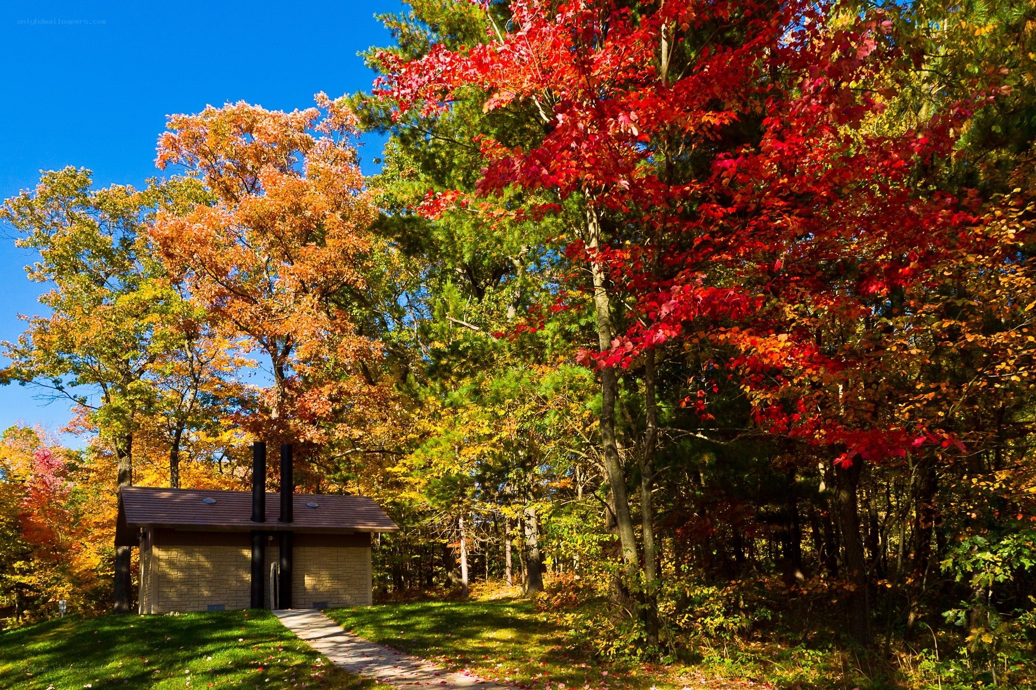 Autumn forest with small building