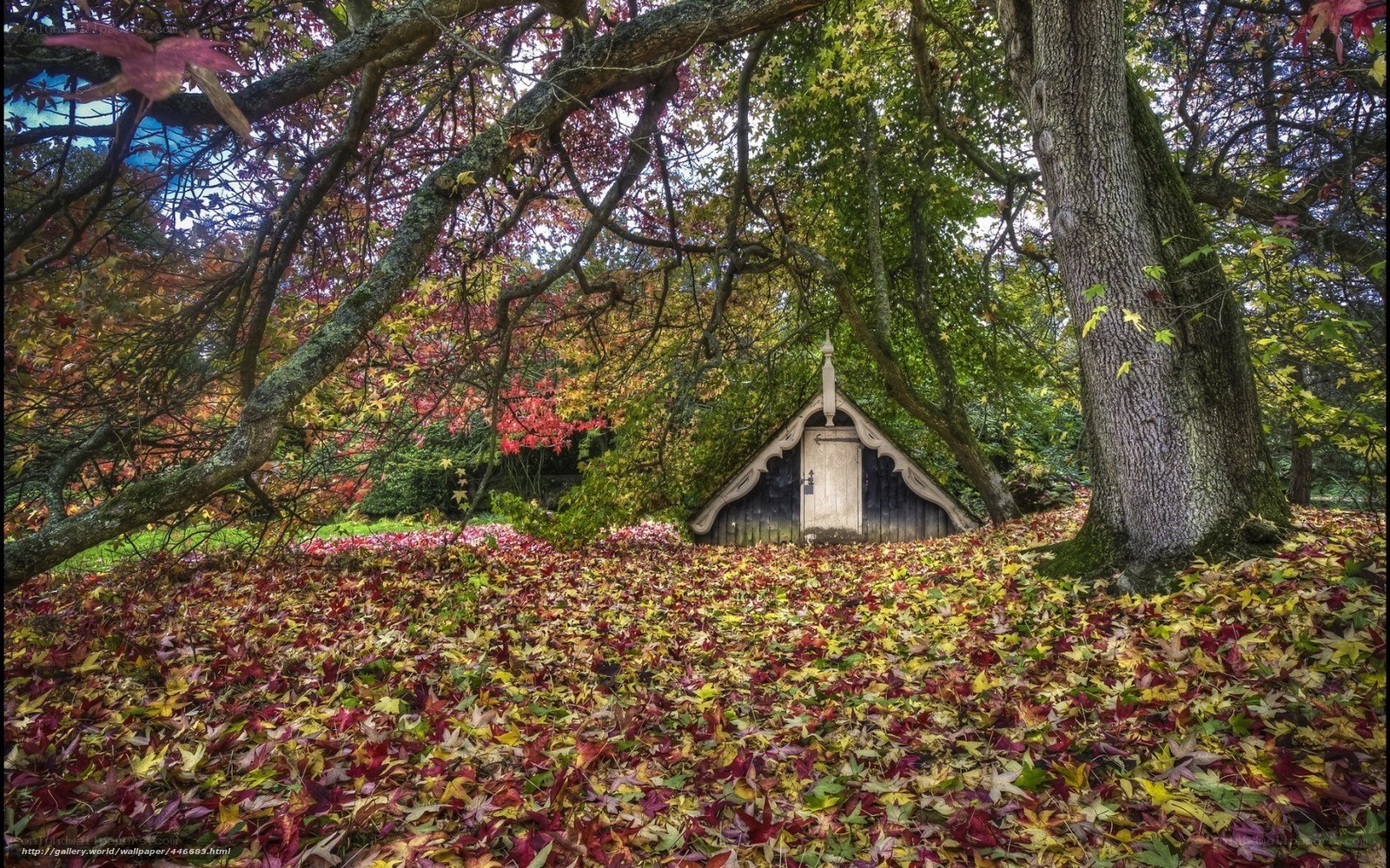 Autumn forest with small hut