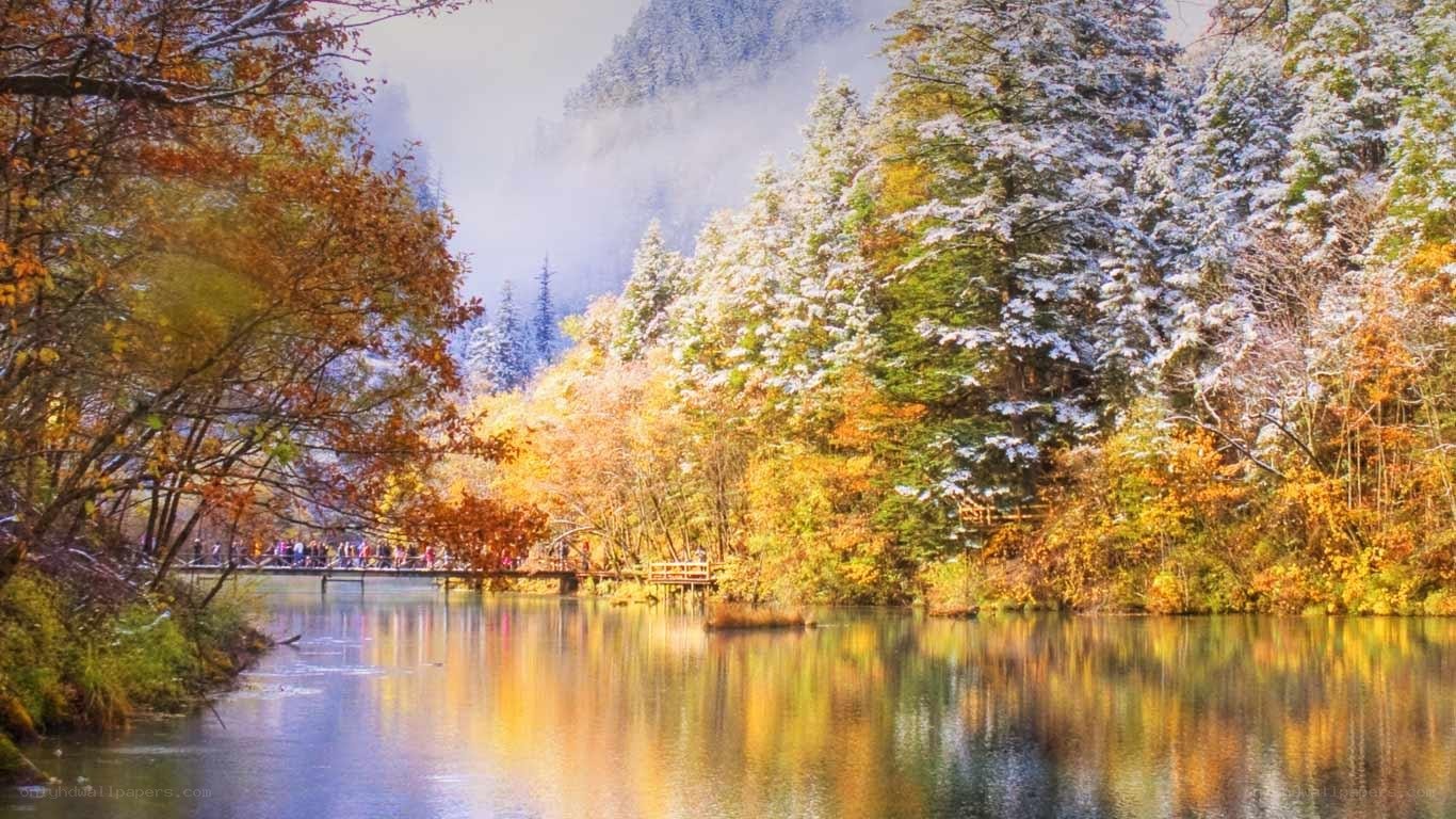 Autumn forest with snow and lake