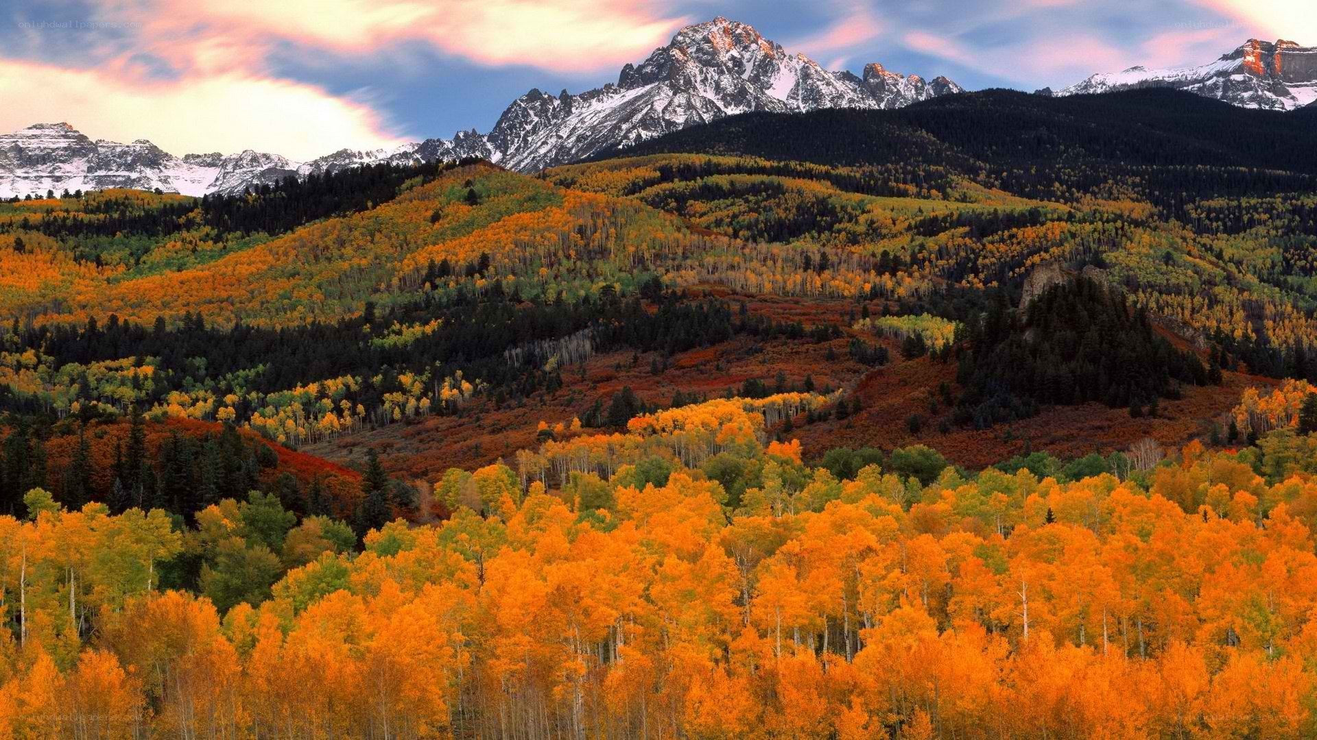 Autumn forest with snow-capped mountains