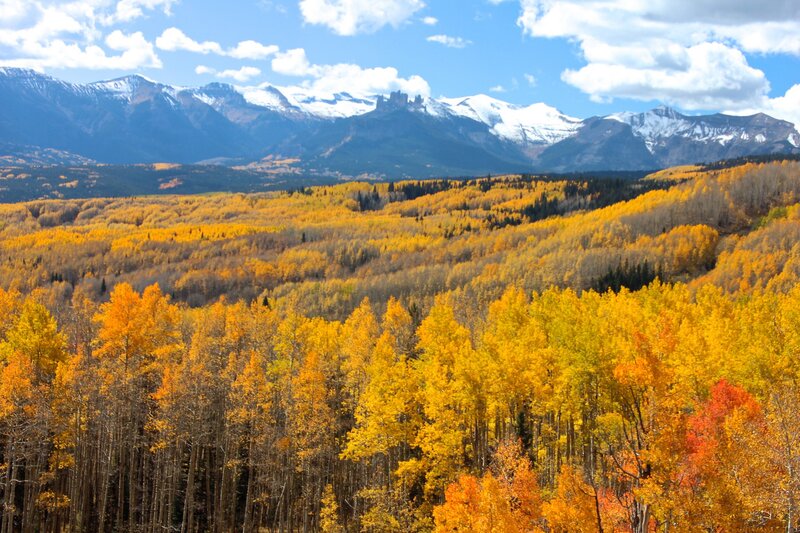 Autumn forest with snow-capped mountains