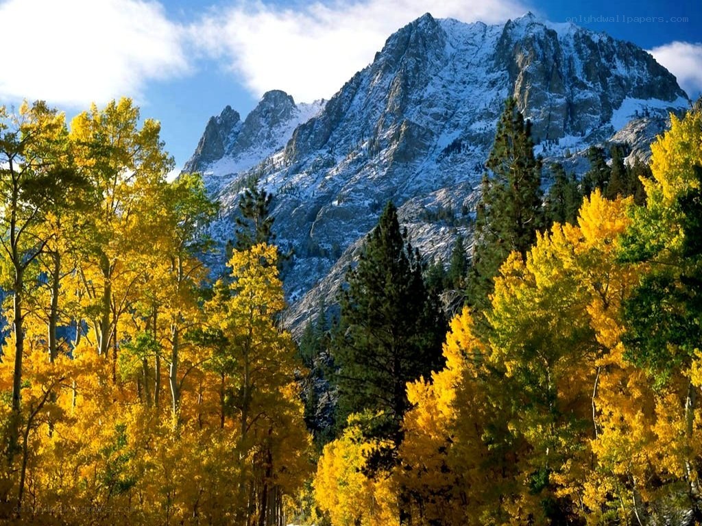Autumn forest with snow-capped mountains