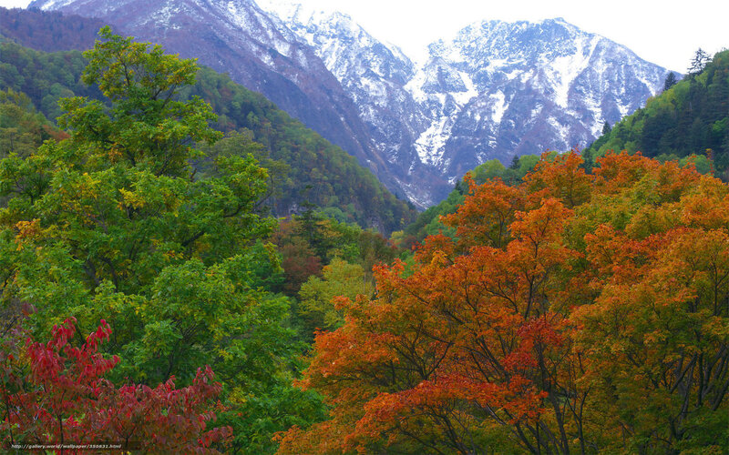 Autumn forest with snow-capped mountains
