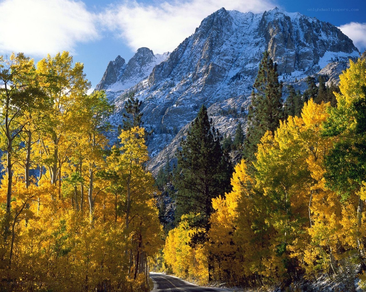Autumn forest with snow-capped mountains