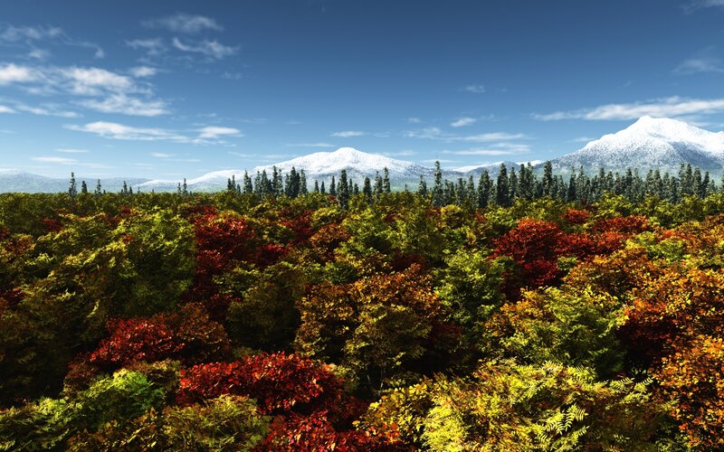 Autumn forest with snow-capped mountains