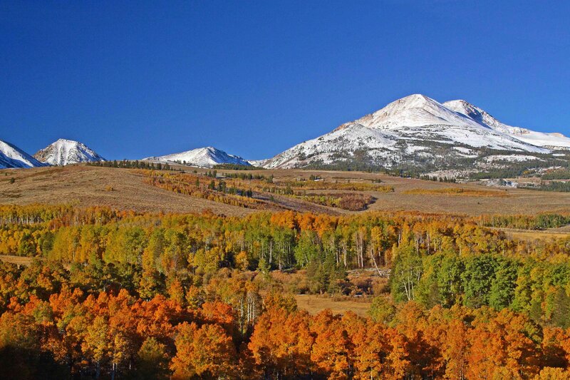Autumn Forest with Snow-capped Mountains — Blue