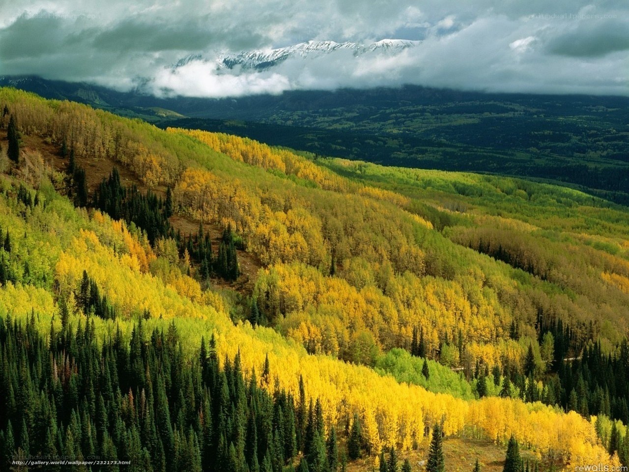 Autumn forest with snow-capped mountains