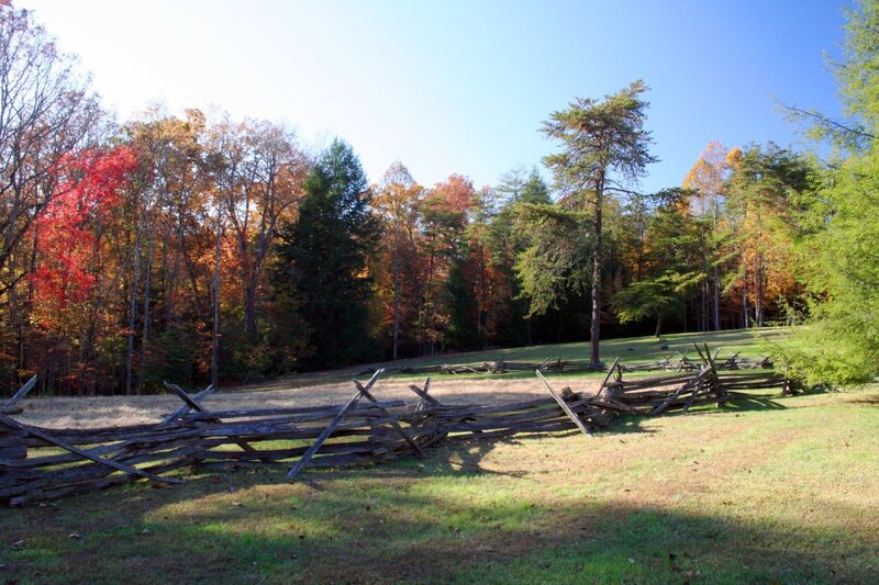 Autumn forest with split-rail fence