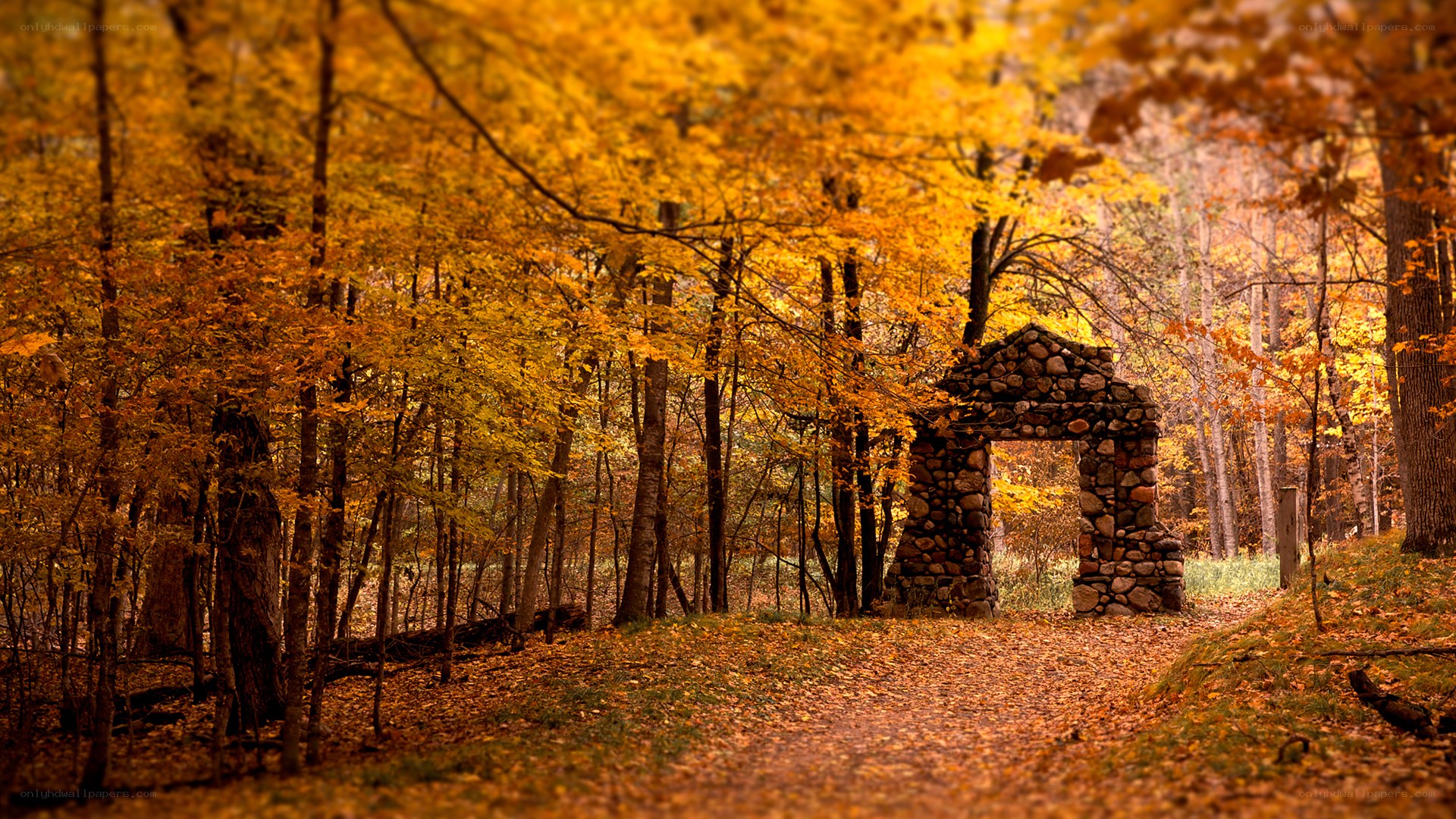 Autumn forest with stone arch
