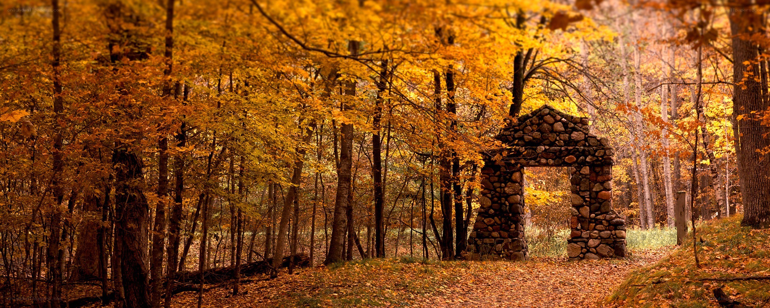 Autumn forest with stone arch