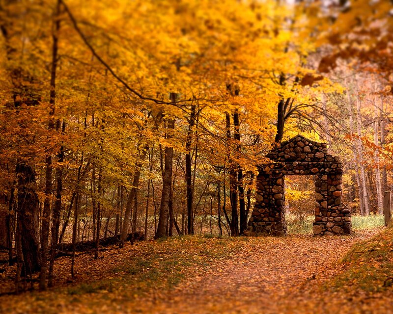 Autumn forest with stone arch