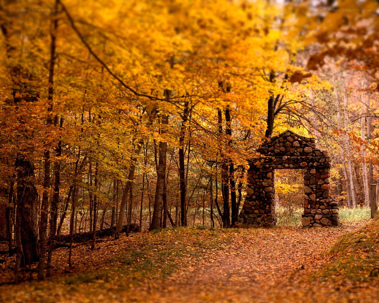 Autumn forest with stone arch